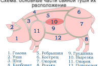 Вырезка свиная: какая часть туши, где находится, фото