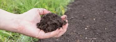 Удобрение сульфат калия: применение на огороде, состав
