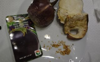 Баклажан вкус грибов: описание, фото, отзывы 